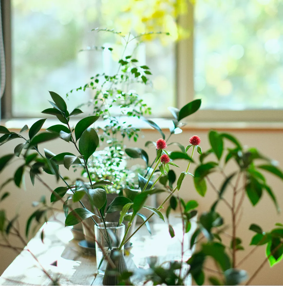 メインビジュアル01